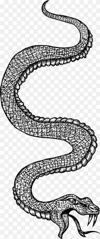 矢量手绘线描蛇