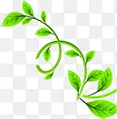 春天唯美植物树叶PNG图片素材下载_图片编号10604547-PNG素材网