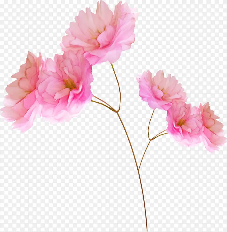 粉色花卉婚庆布置