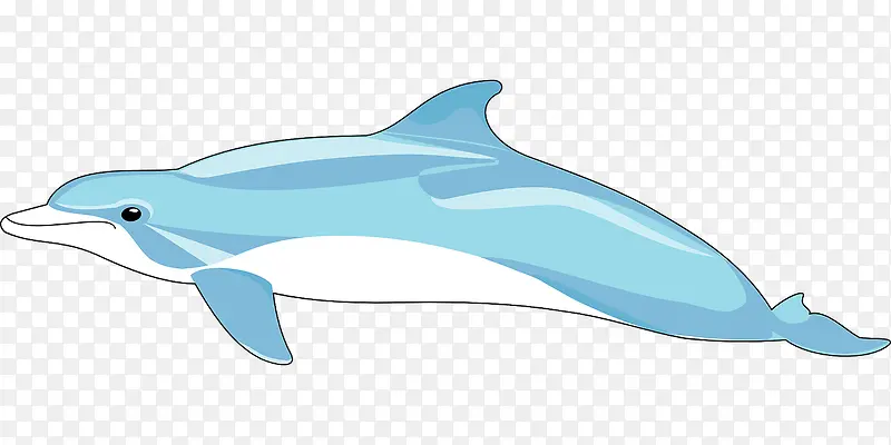 天蓝色的海豚