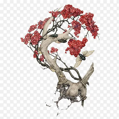 树和果实手绘