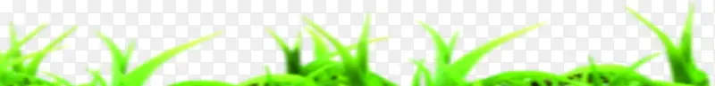 绿色植物手绘水彩