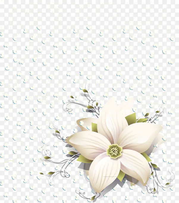 花朵