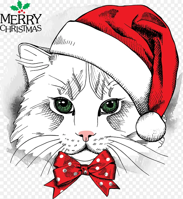 圣诞节贺卡装饰猫咪