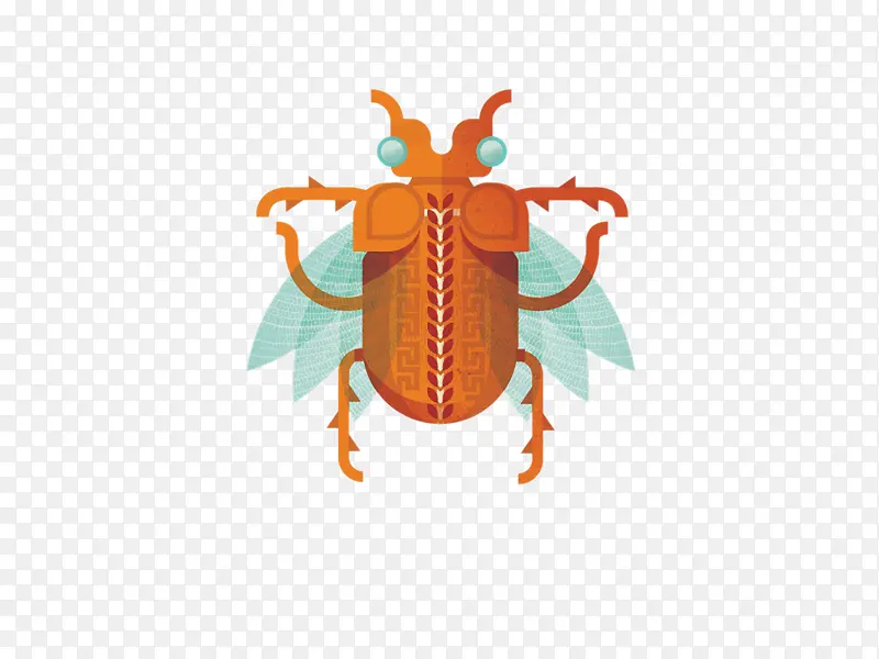 动物甲虫