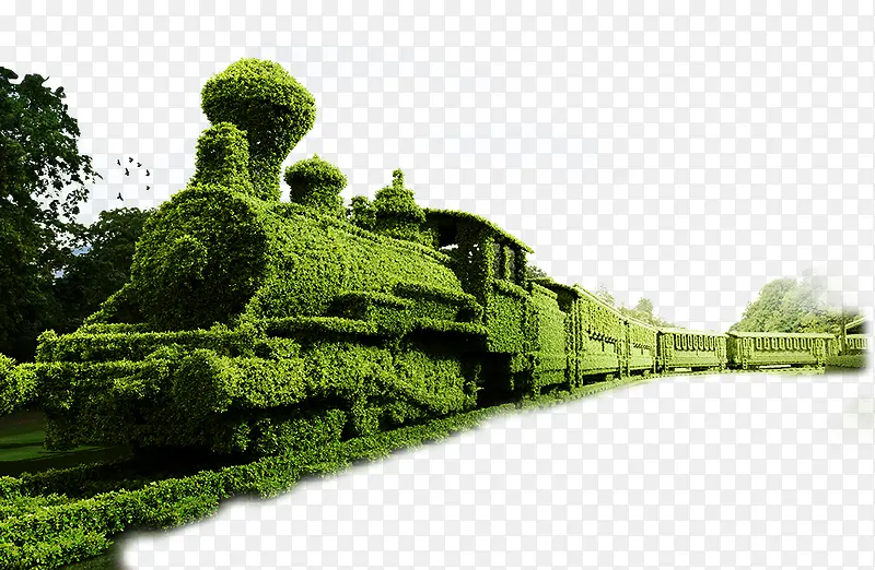 绿色火车园艺