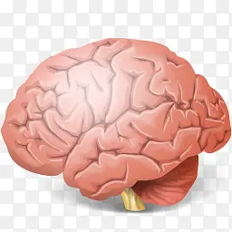 大脑medical-icons