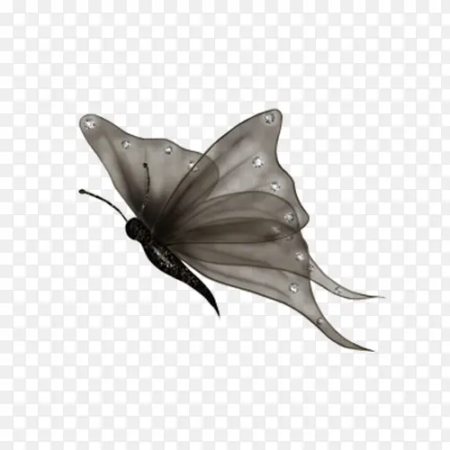 个性黑蝴蝶