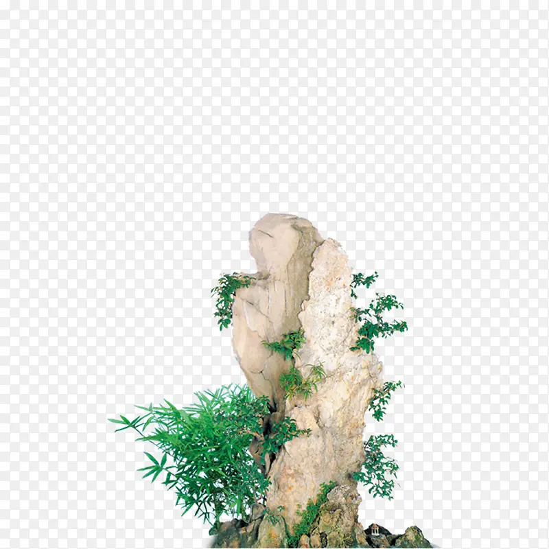 假山