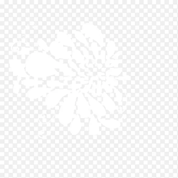 浅色白花