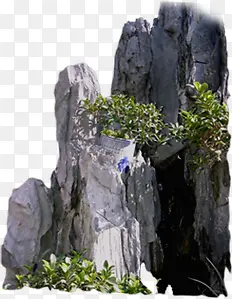 摄影有植物的假山