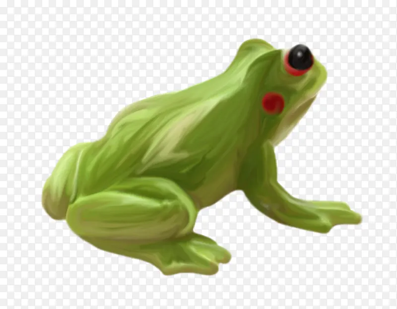 漂亮绿色青蛙