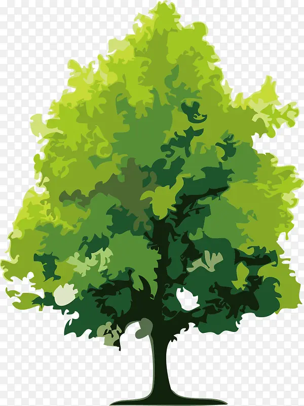 绿色榕树