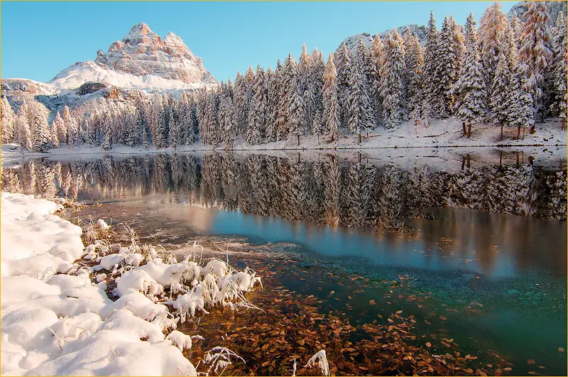 唯美冬季河流森林摄影图