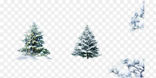 冬季雪中树