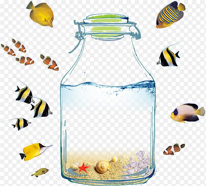 玻璃瓶和鱼儿