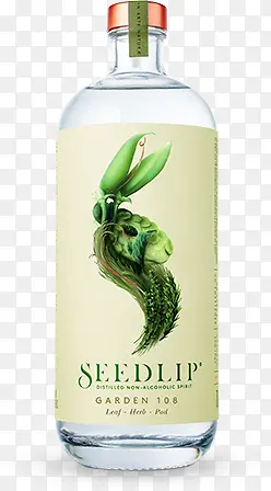 新鲜绿植创意瓶子