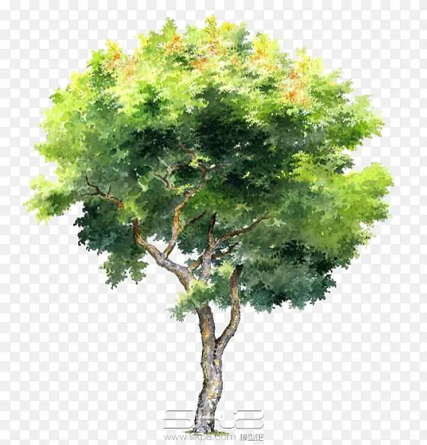 手绘树木PNG图片素材下载_图片编号10658492-PNG素材网