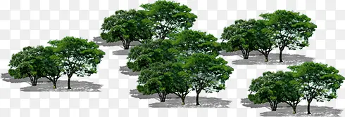 绿色树木高清创意渲染