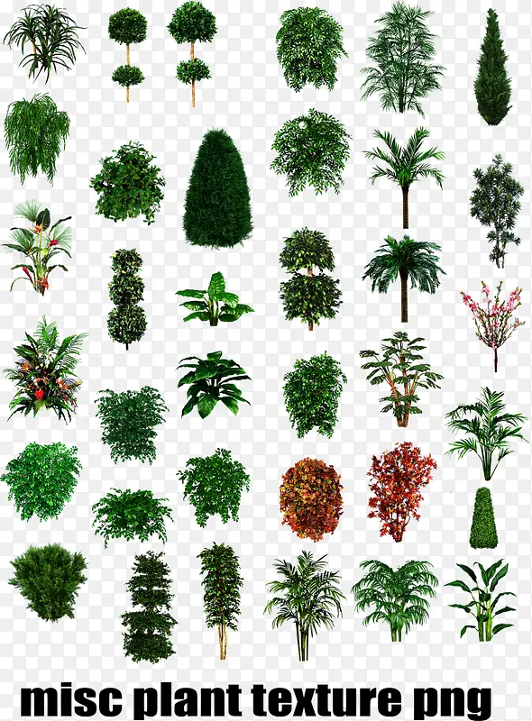 绿色植物树木灌木丛图标
