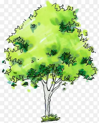 手绘绿色树木插画