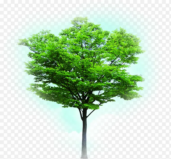 绿色植物树木设计PNG图片素材下载_图片编号10658872-PNG素材网