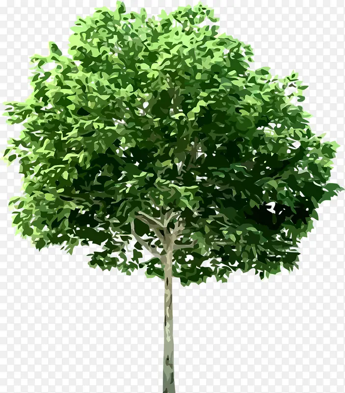 绿色树木免抠装饰