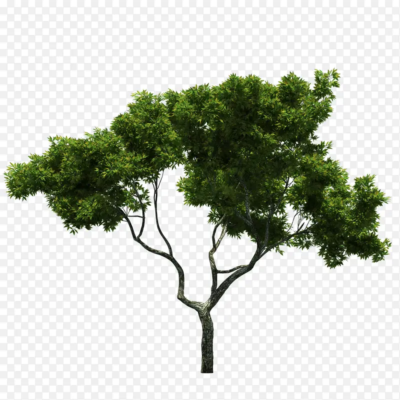 免抠绿色树木装饰