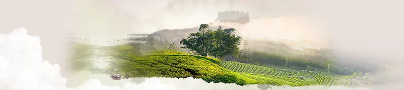 绿树大山背景banner