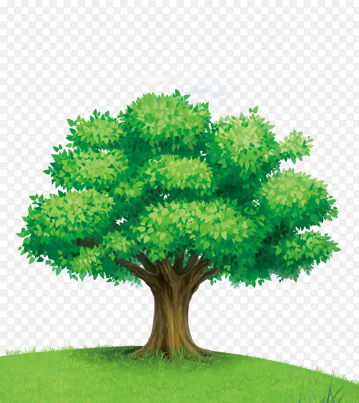 茂密绿树手绘
