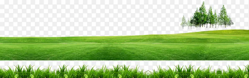绿色草坪装饰图片