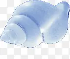 海底生物海螺