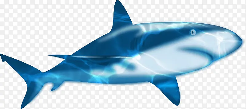 蓝色海底鲨鱼素材免抠