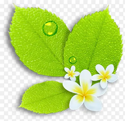树叶卡通植物夏日效果图