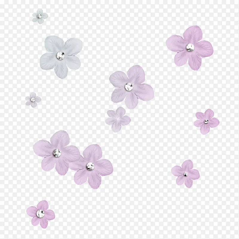 紫色漂浮花