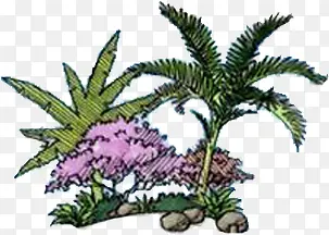 手绘园林植物椰树