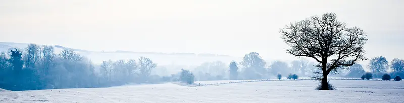 冬天雪景banner创意设计