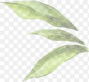 扁平风格创意合成绿色的草本树叶