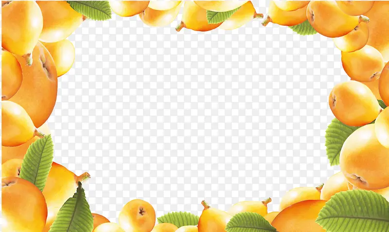 枇杷水果边框