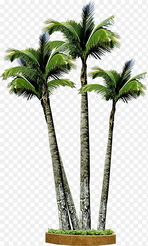 手绘椰子树背景设计素材
