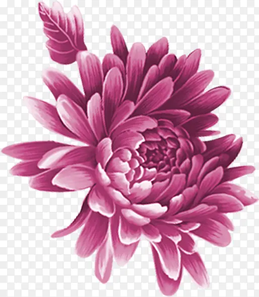 手绘粉色花卉创意封面