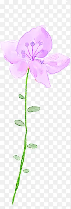 手绘粉色淡彩花卉海报