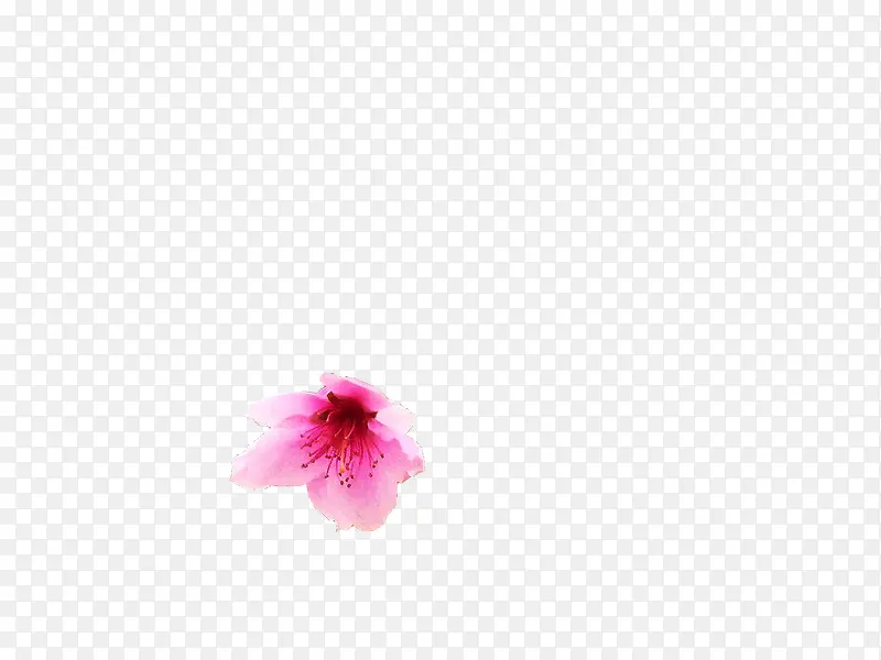 粉色掉落花卉手绘海报背景