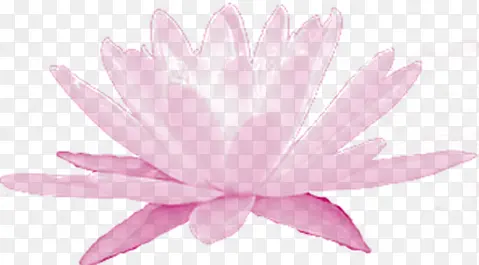 可爱粉色手绘莲花