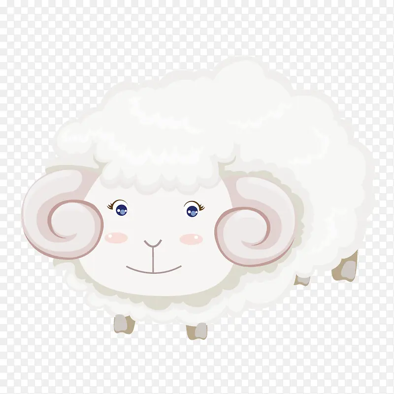 白色可爱犄角绵羊