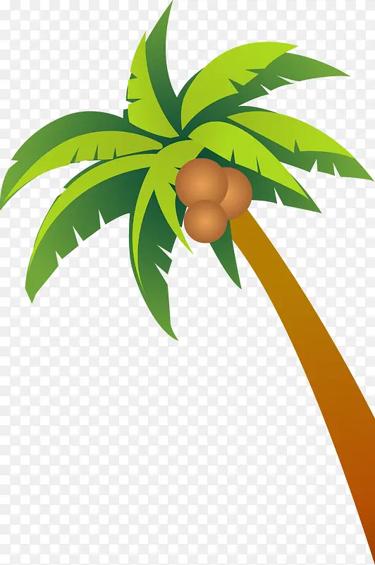 夏日海报植物插画椰子树