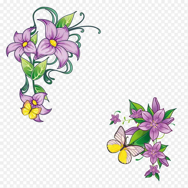 紫色花朵