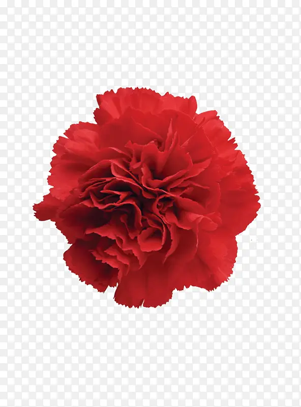 鲜花装饰元素