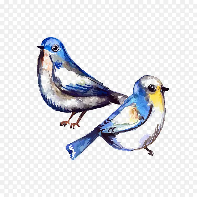 鸟