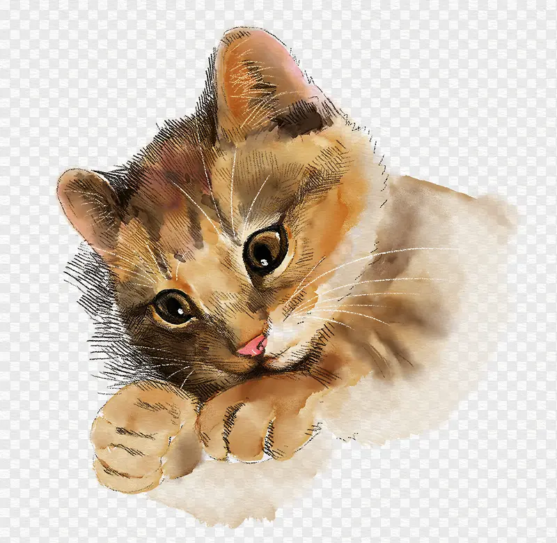 手绘动物可爱插图水彩猫咪插画